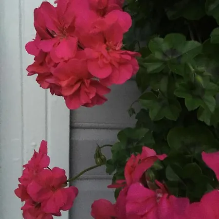 Darby's Bed & Breakfast Stavanger