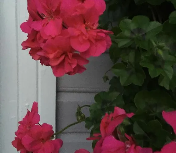 Darby's Bed & Breakfast Stavanger